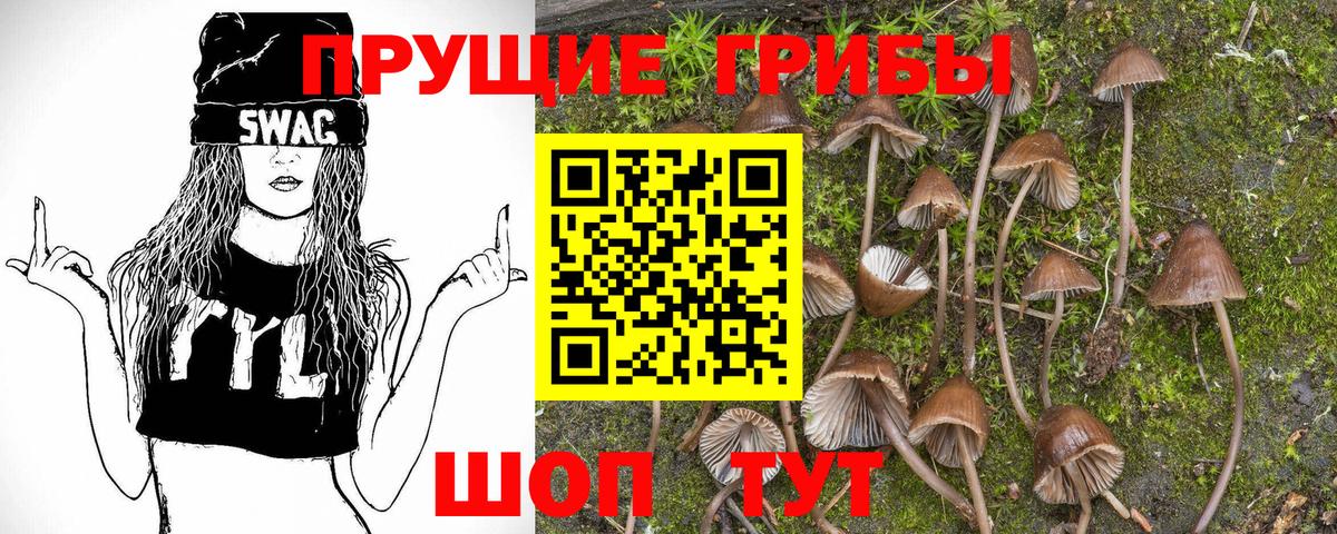 Псилоцибиновые грибы Cubensis  Вход с VPN  Ливны 