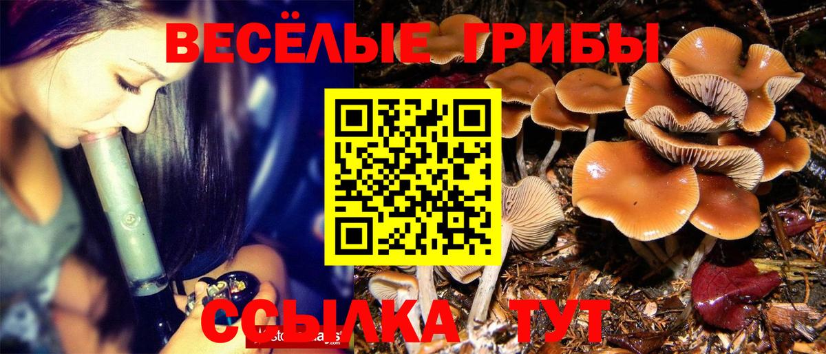 Ливны  КОКАИН  Альфа ПВП СОЛЬ   Меф   NBOMe  Вход с VPN  ГАШ  Конопля 